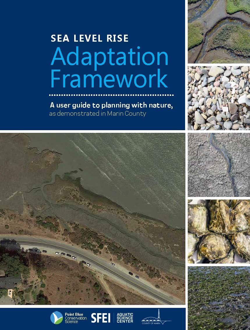 Map of sea level rise adaptation efforts in Marin County