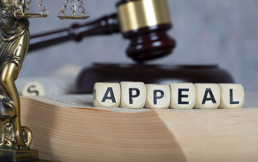 Assessment Appeals