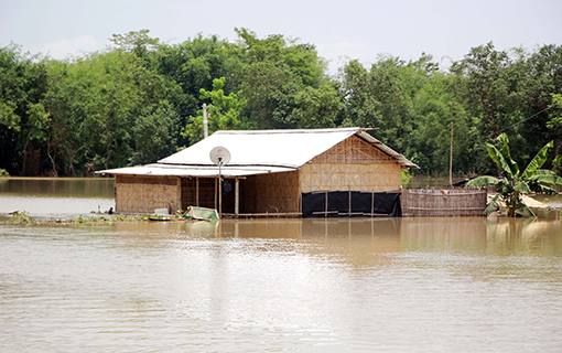 Calamity Relief